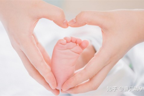 http://fuzhou.51dzb.net/post/188.html|福州新闻中心